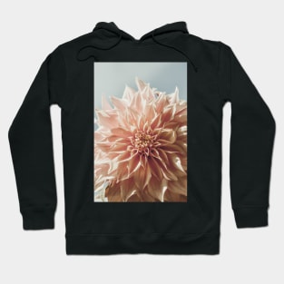 Always the Optimist x botanical pink dahlia flower photograph Hoodie